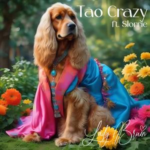 Tão Crazy (Lady, Lady, Lady)