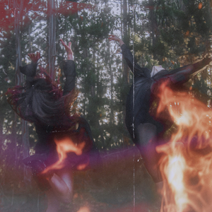 Veremos el Mundo Arder