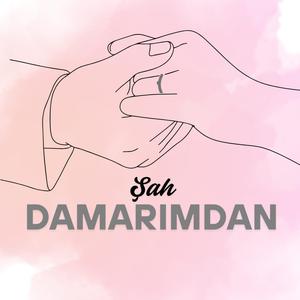 Şah Damarımdan
