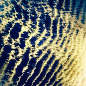 Dance of The Flightless Birds