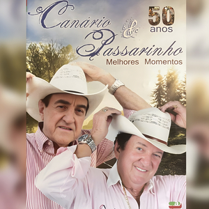 O Menino da Porteira