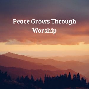 Light That Never Fades