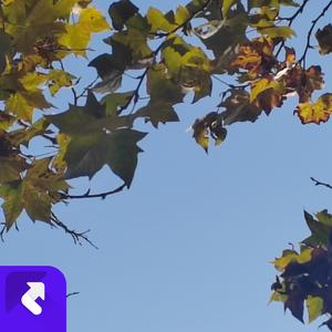 追寻RimiX (现场)