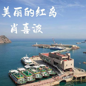 红岛蛤蜊