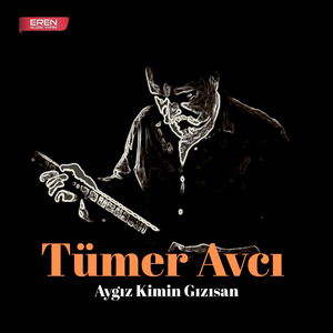 Aygız Kimin Gızısan