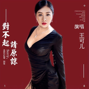 对不起请原谅