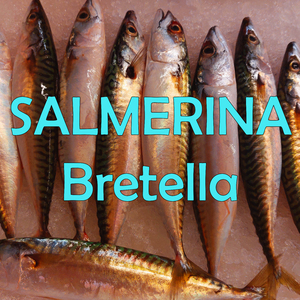Salmerina