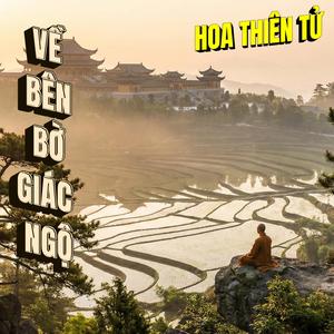 Đêm Trăng Bên Chùa Làng