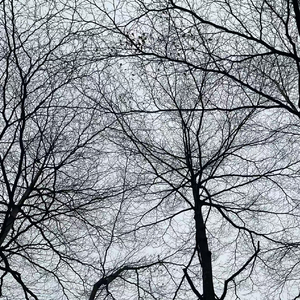 Powerless(Inst.Demo)