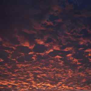 To hold the monarch's heart