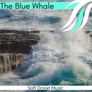 Night Beautiful Oceanic Mountain