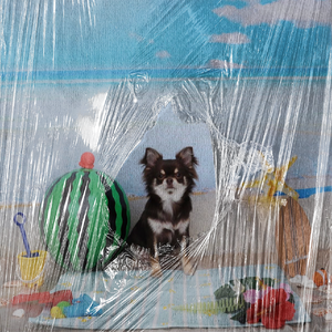 盛夏派对 - "夏日炎炎"