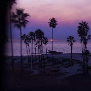 复杂的感情动物