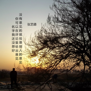 名字我还没想好 你可以在评论里给出意见 没有意见的就投票别人的意见