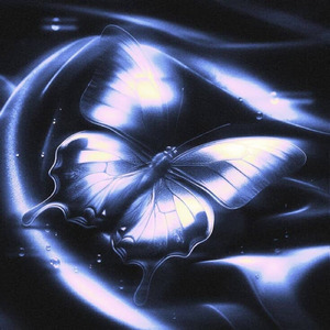 我的蝴蝶的星星