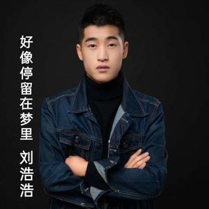 好像停留在梦里