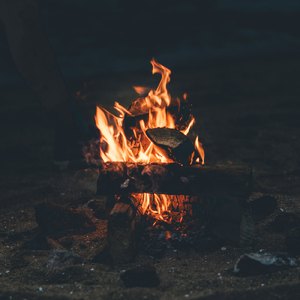 焚火の音 -森-