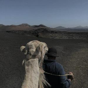 你的爱将我灌醉-快手抖音热播版