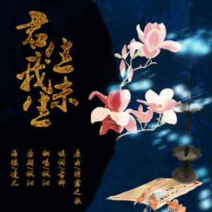 君生我未生（翻自 手嶌葵）