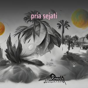 pria sejati