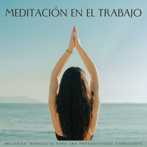 Música De Trabajo Consciente