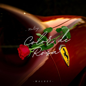Color de Rosa