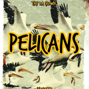 Pelicans