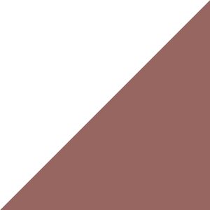 假装(demo)