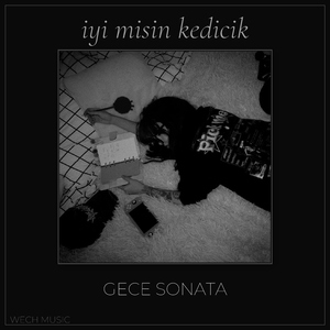 iyi misin kedicik (Doğaçlama)