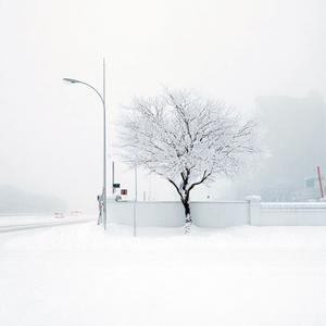 비밀은 나의 힘