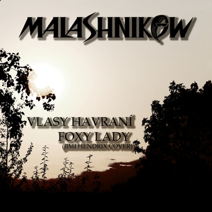Vlasy havraní