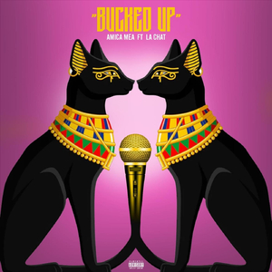 Bucked Up (feat. La Chat)