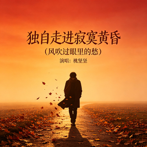 独自走进寂寞黄昏（风吹过眼里的愁）