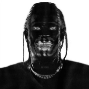 FE!N (feat. Playboi Carti guitar Remix)