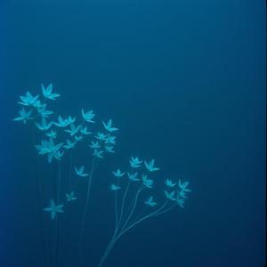 深海の光 -化学合成細菌- #ミクロコスモス2025  by wakaran.koro