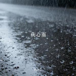 伤心雨 (Cover 王子鸣)