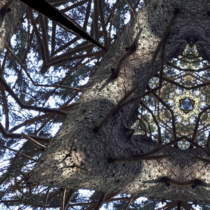 We leave behind the burdens of the past