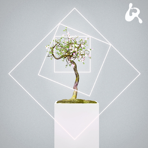 The Life (Original Mix)