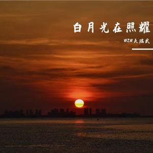 星星坠落的夜晚