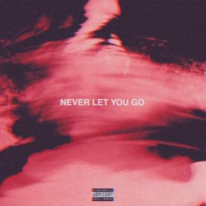 Never Let You Go (feat. dhan)