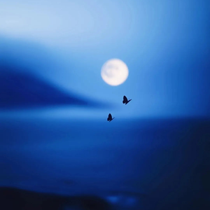 格桑花（翻自 陳鴨梨Charlie）