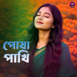 পোষা পাখি