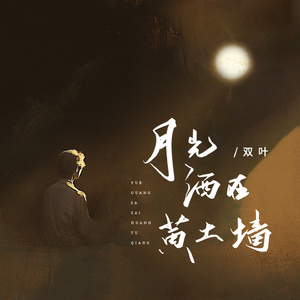 月光洒在黄土墙