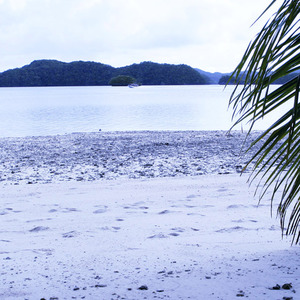 以前心心念念的东西现在不想要了