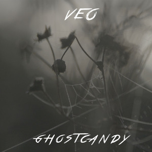 GhostCandy (feat. Kwukaa)