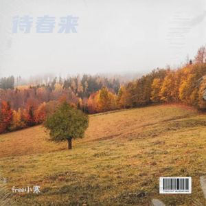 雨后林间路（demo）