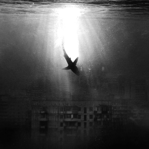 Буйный ветер