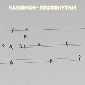 Birds Rhythm