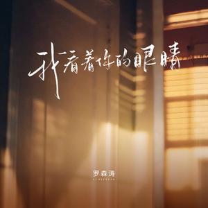 我看着你的眼睛