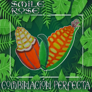 Combinación Perfecta